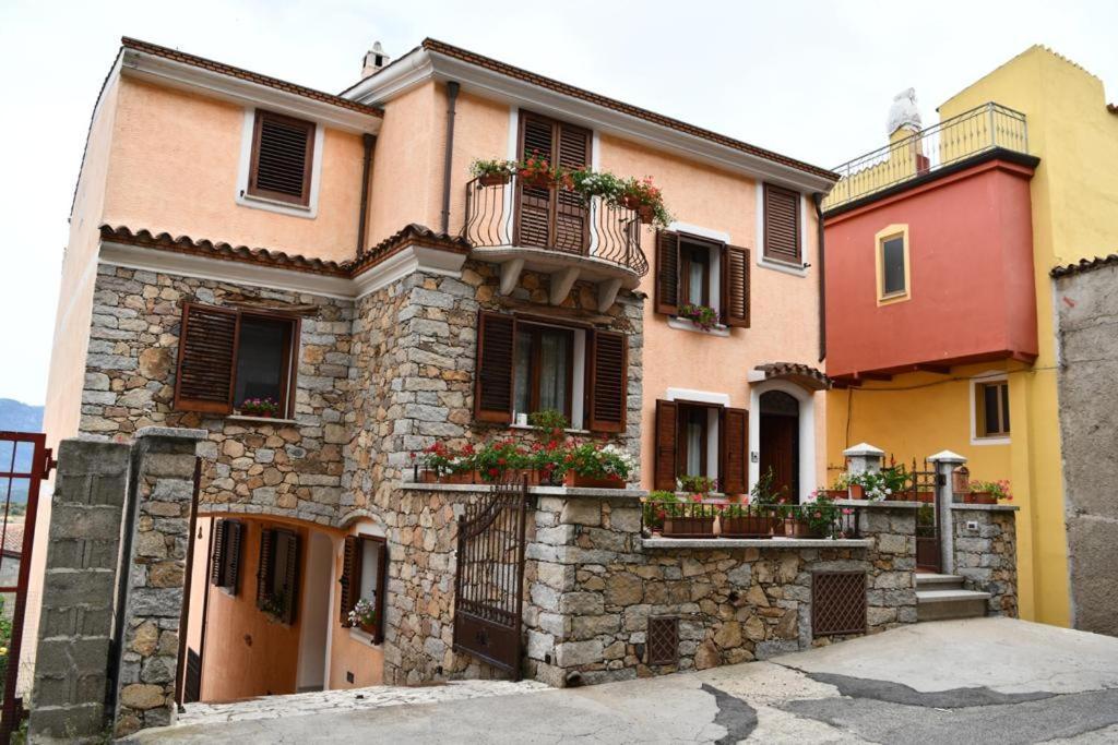 B&b Peonia orgosolo Exterior foto